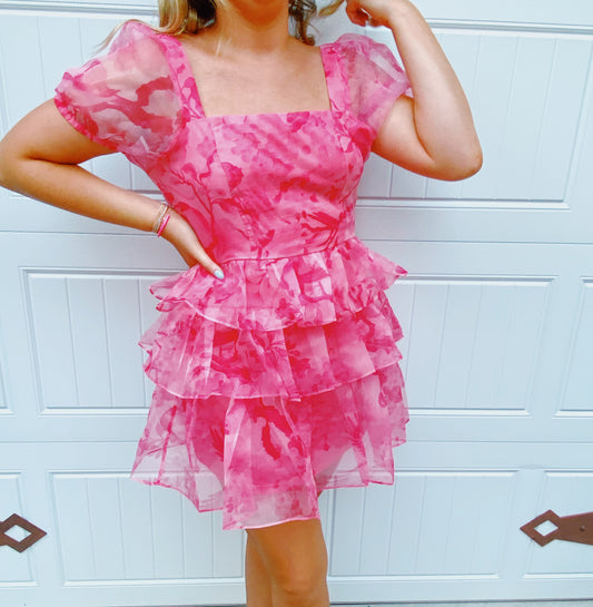 Pink and Proper Dress